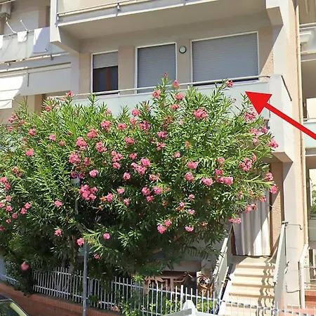 Appartamento Vita Apartment